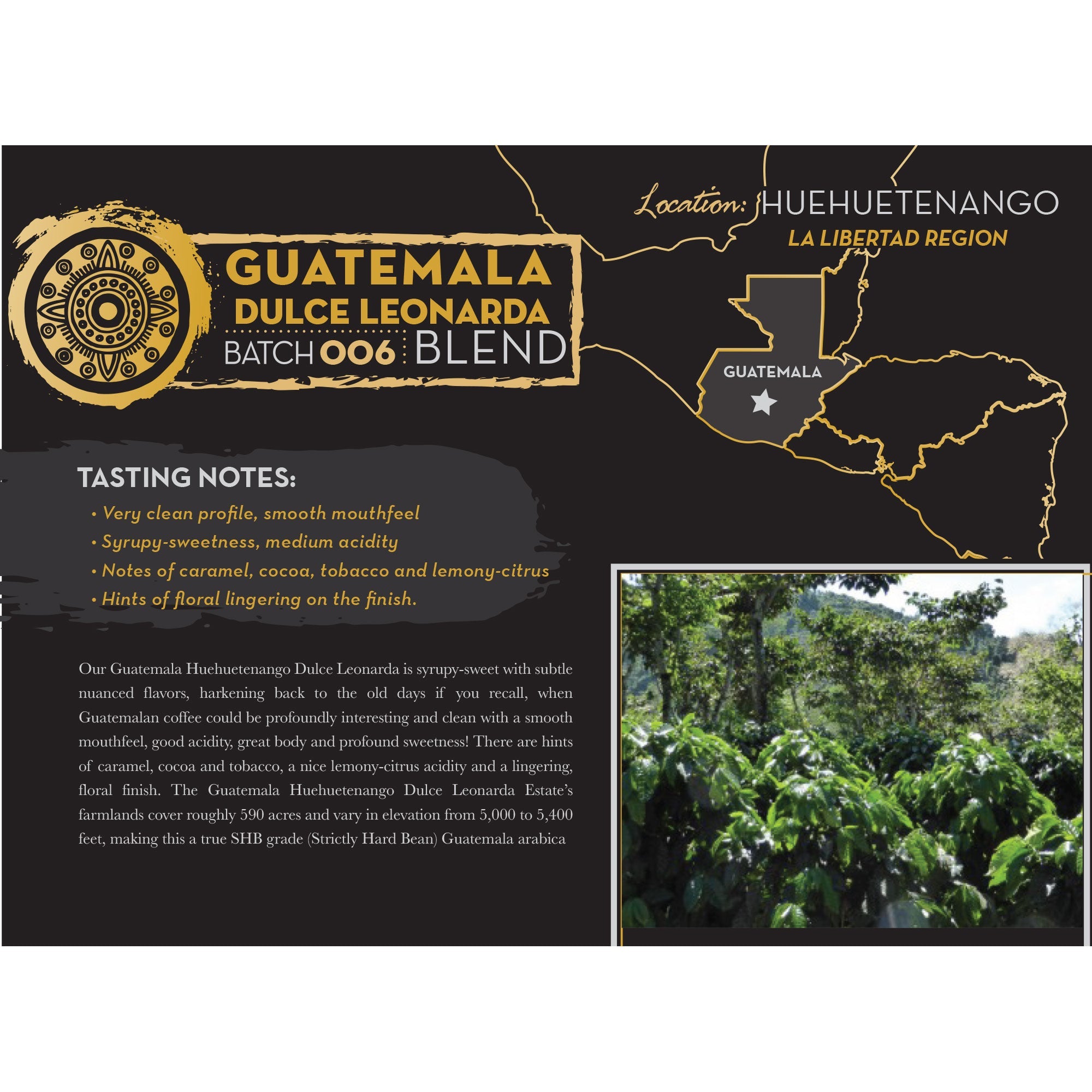 Roastmaster Reserve Batch #6: Guatemala Dulce Leonarda Dark Roast Coffee Pods