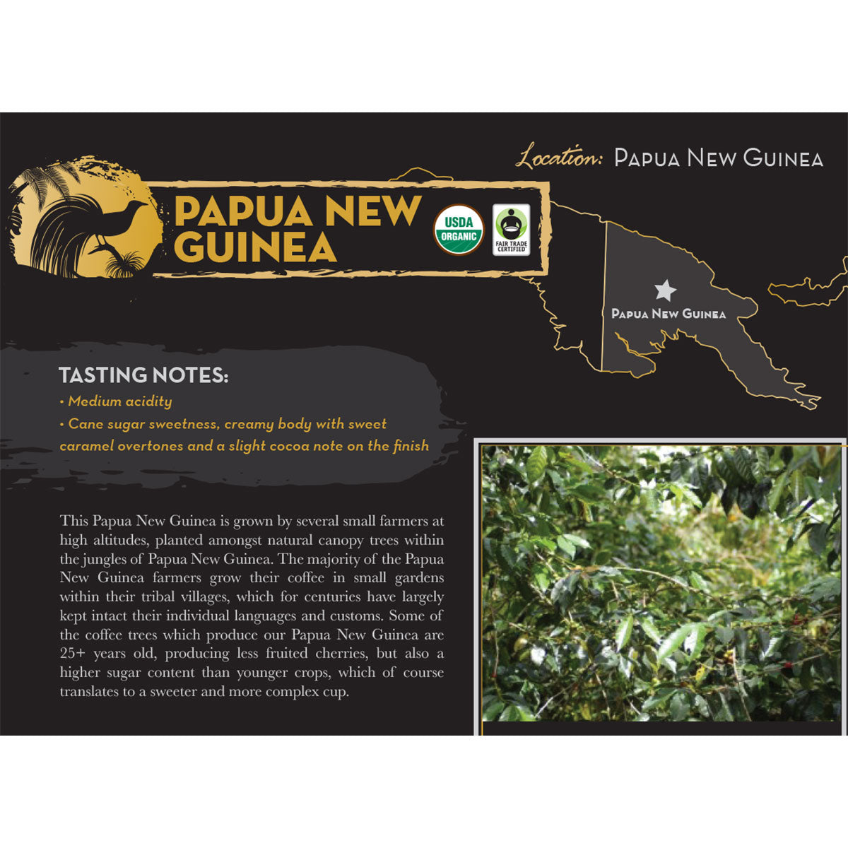 Roastmaster Reserve Organic Papua New Guinea Dark Roast Coffee Pods